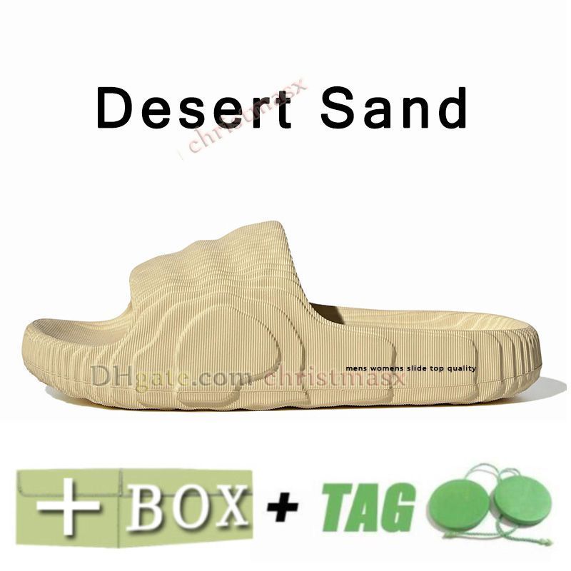 A04 36-45 사막 모래
