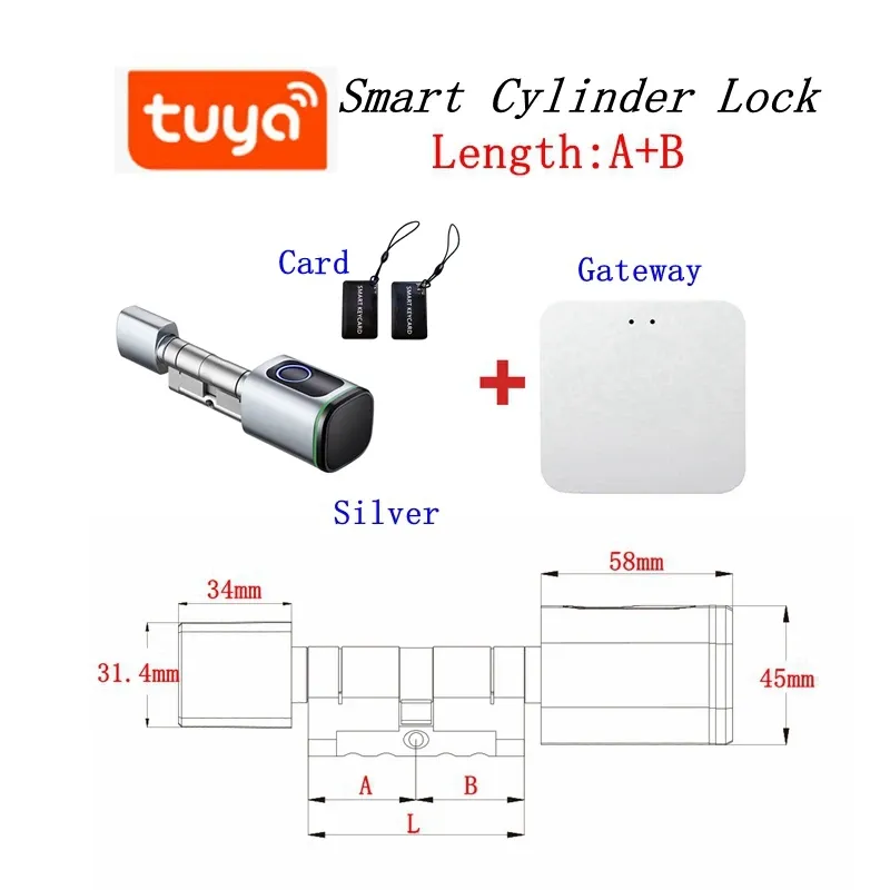 A30 B30 Sliver gateway 2Card