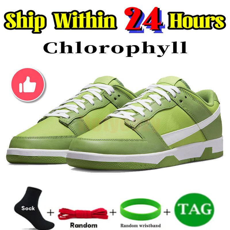 21Chlorophylle