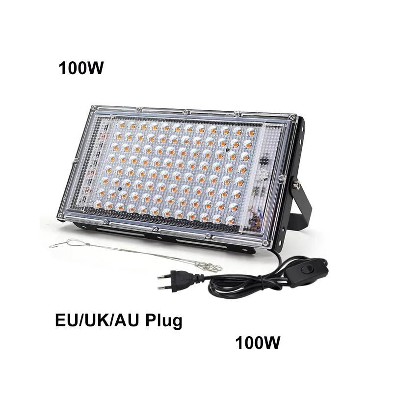 100W-EU-plug