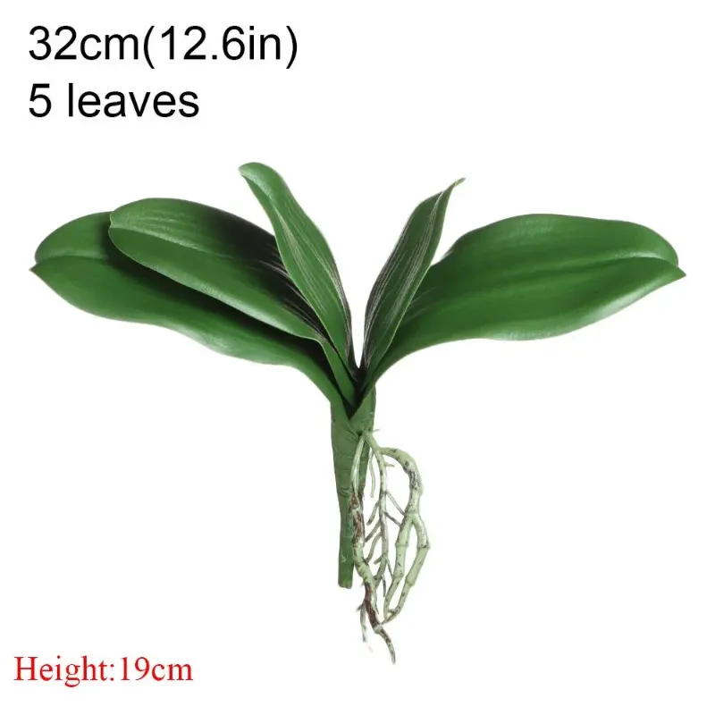 -32 cm-5 feuilles