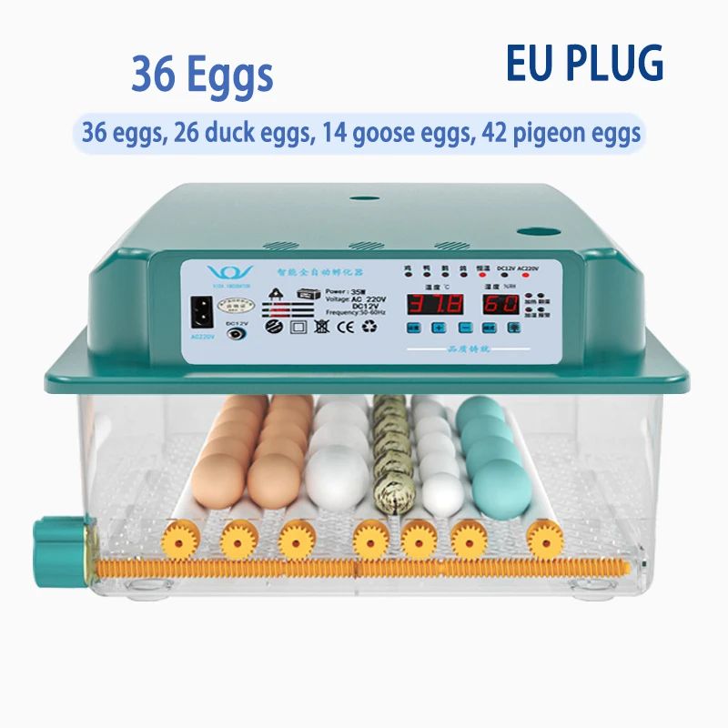 Färg: 36 Egg EU -kontakt