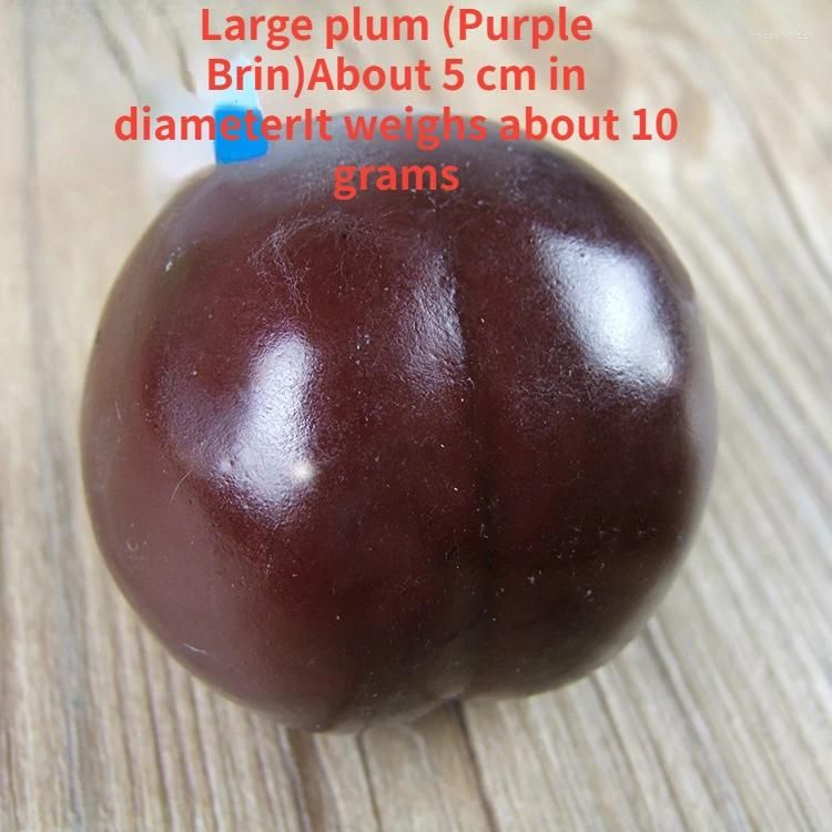 Plum