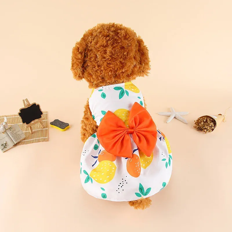 Dog Dress 3