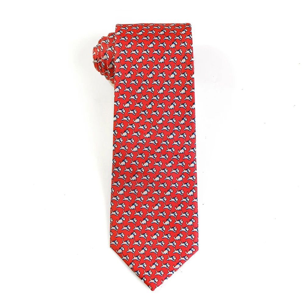 Silk Tie Sta-010