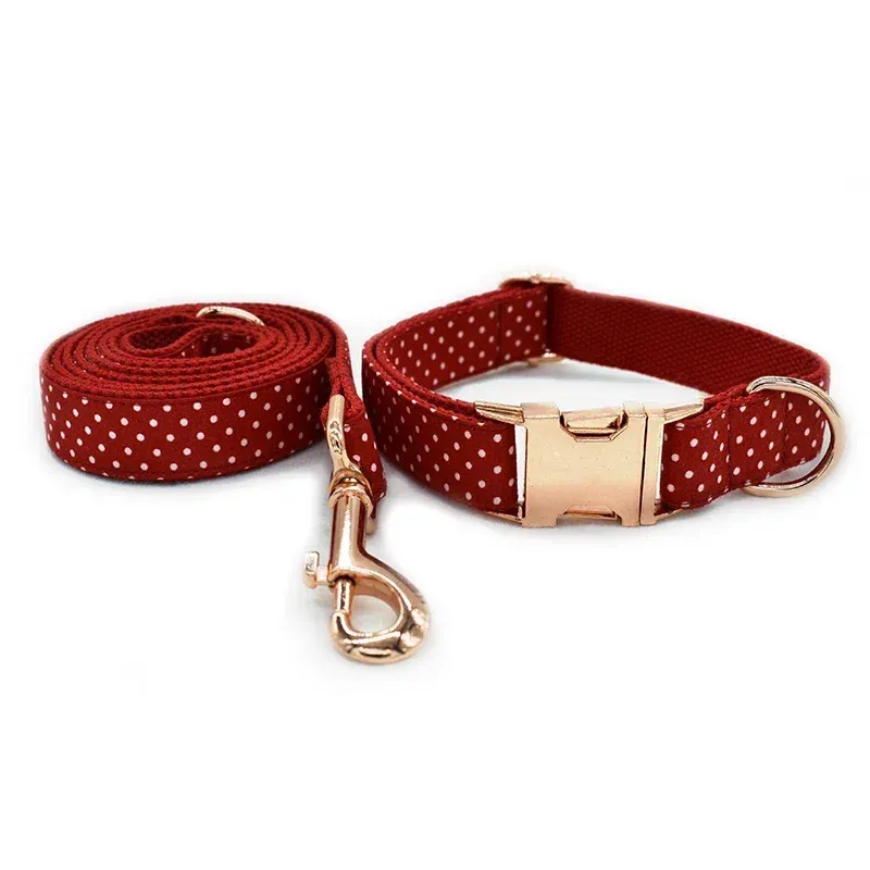 CHINA Collar Leash