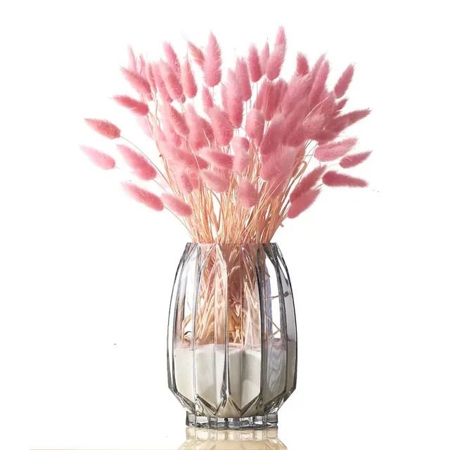 No Vase-100pcs