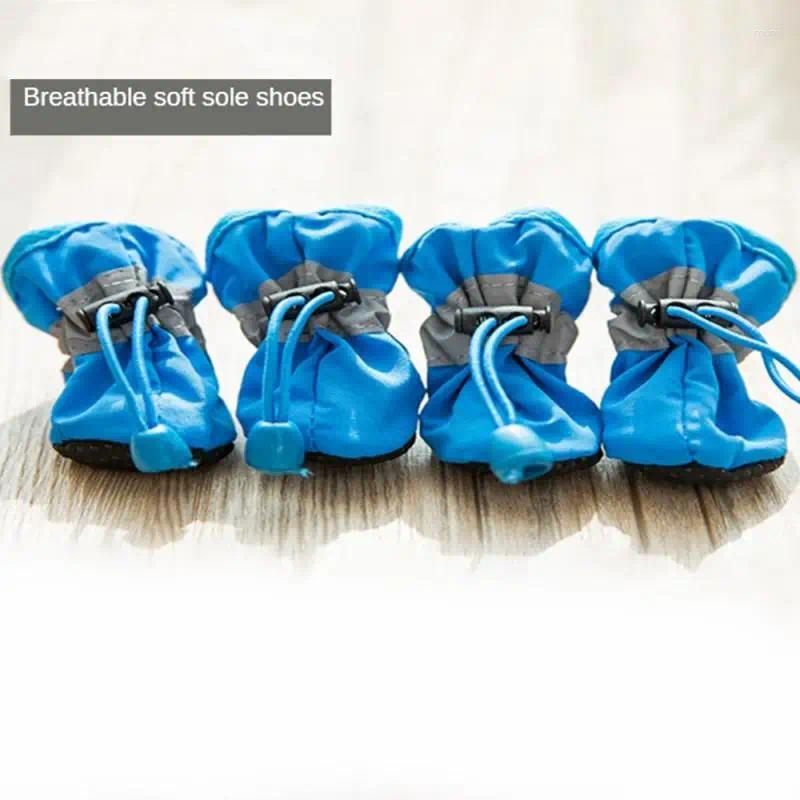 Mavi ayakkabılar