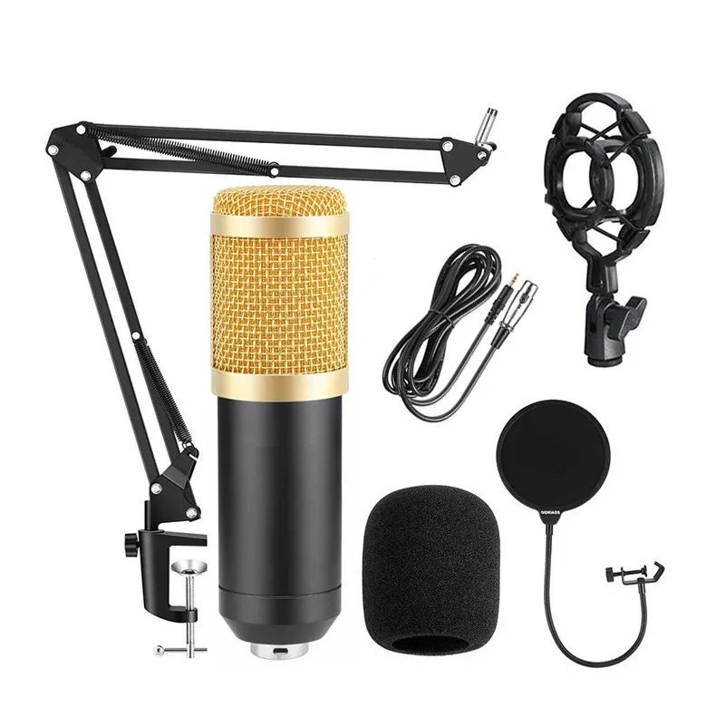 BM800 microphone