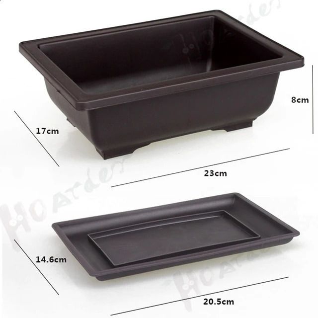 Rectangle m Tray