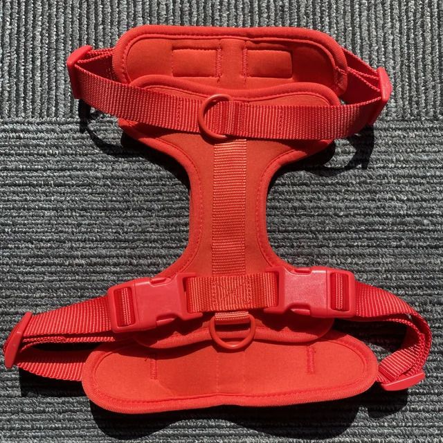 a Red Harness