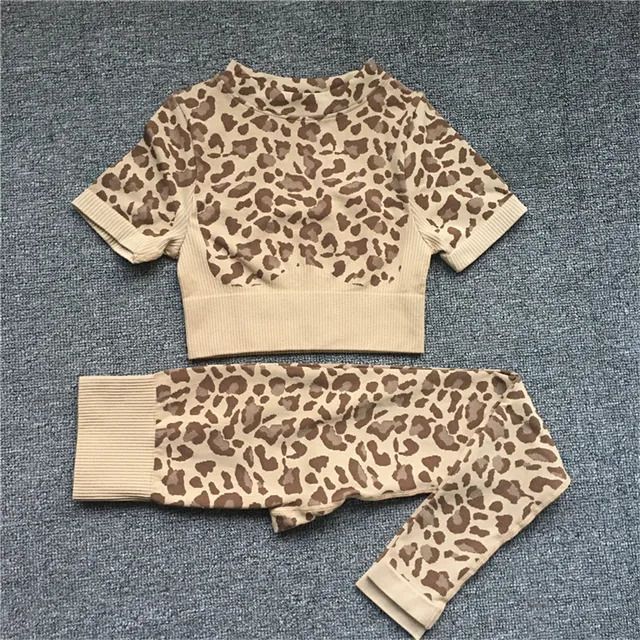 Khaki Svtop Pt Set