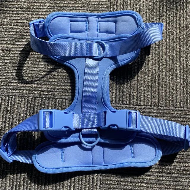 a Sky Blue Harness