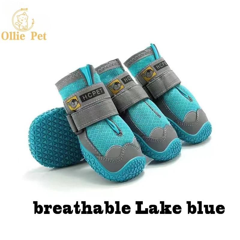 respirável Lago azul