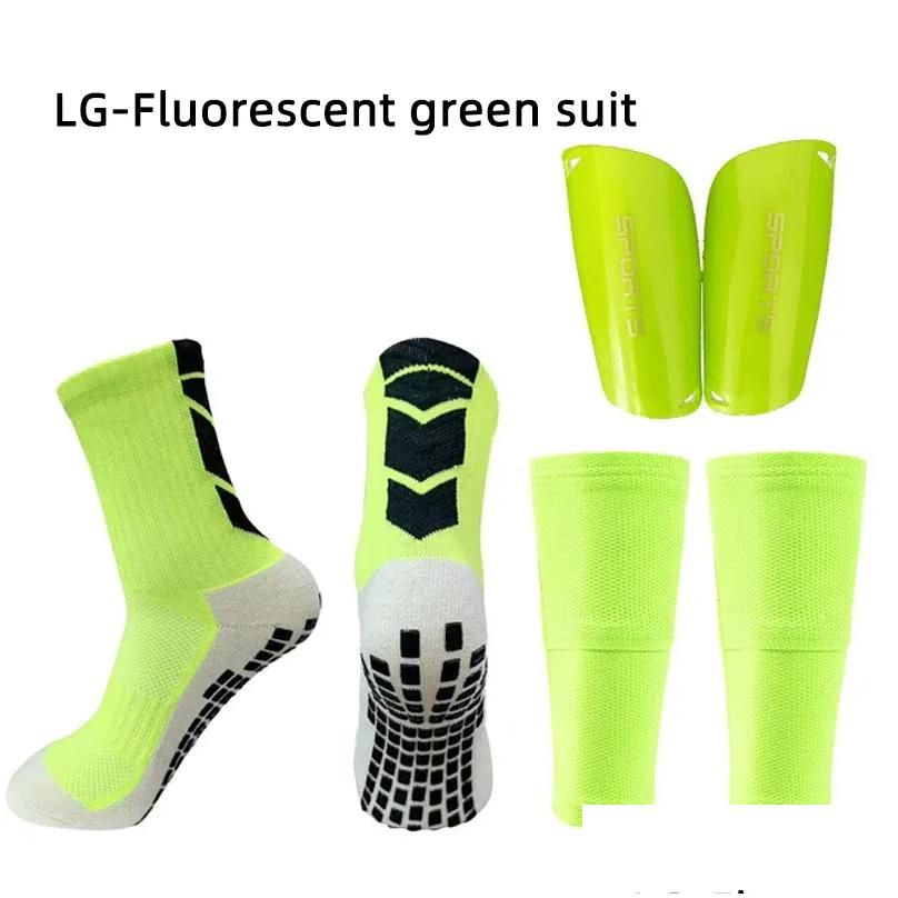 Conjunto LG-Fluorescente