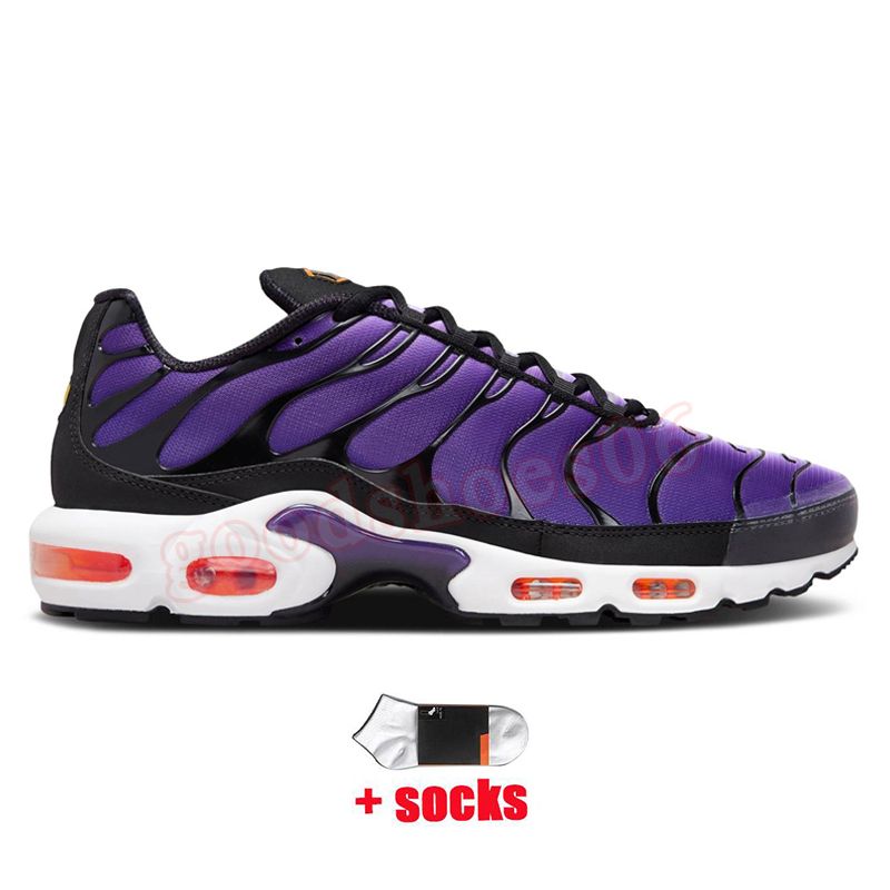 B29 40-46 Voltage Purple