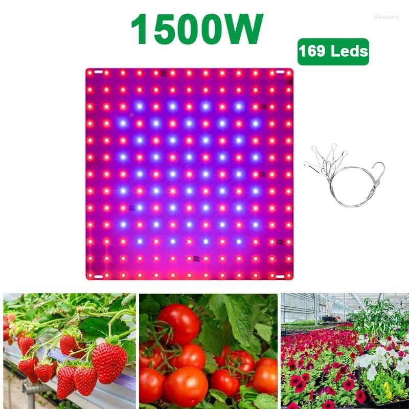 Type 2-1500W-169Leds