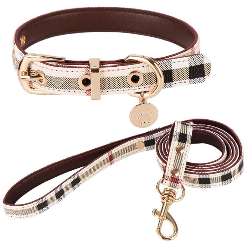 #2 Collar+Leash