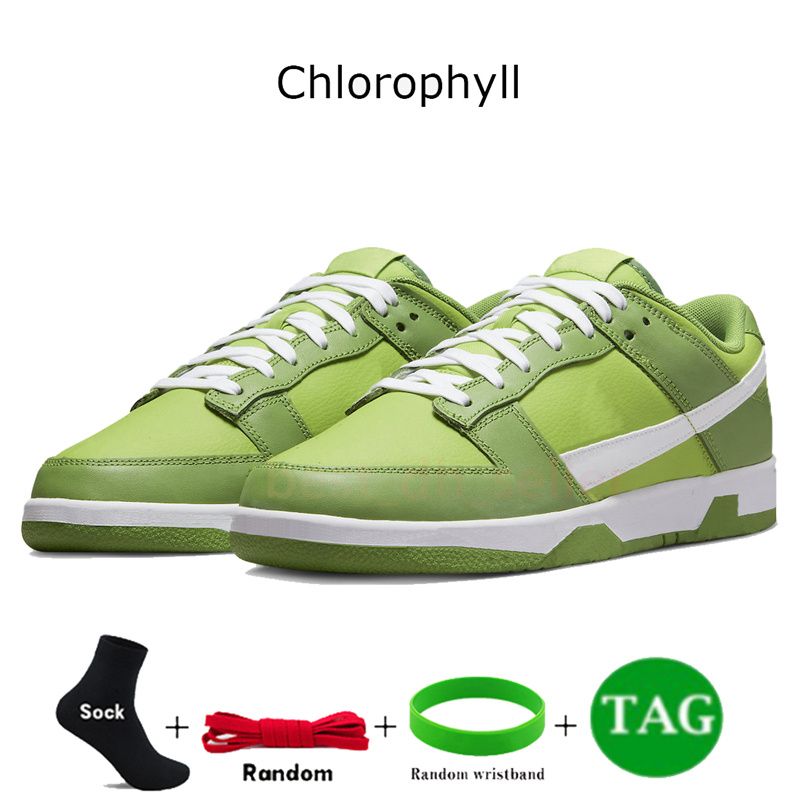 29 Chlorophylle