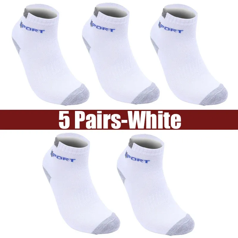 5pairs-vit