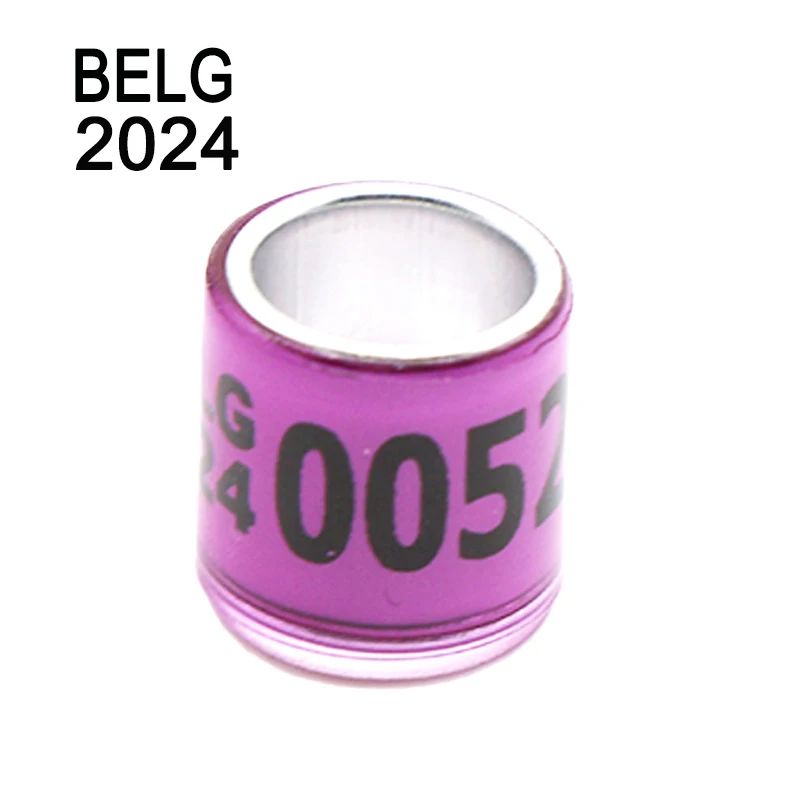 Belgique 2024