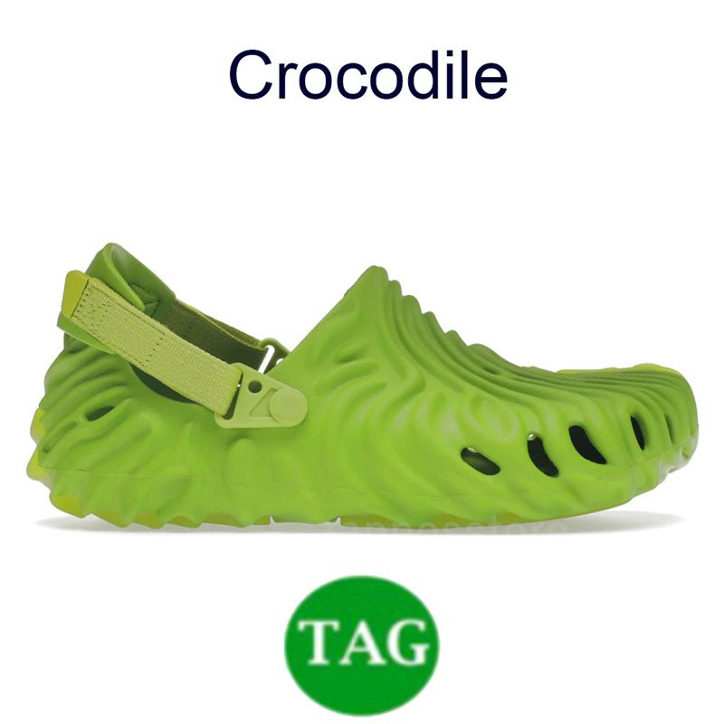 02 Crocodile