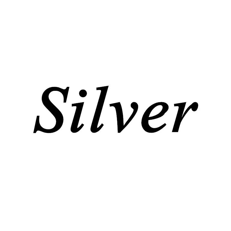 Silver 45cm 18inches