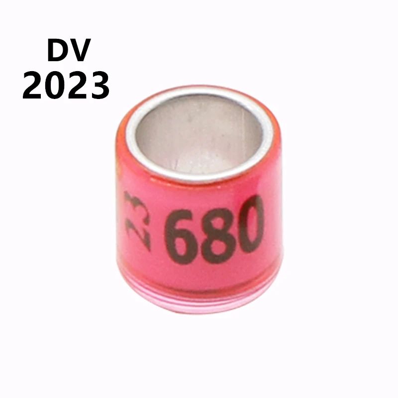 Dv 2023