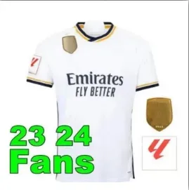 23 24 Fans1