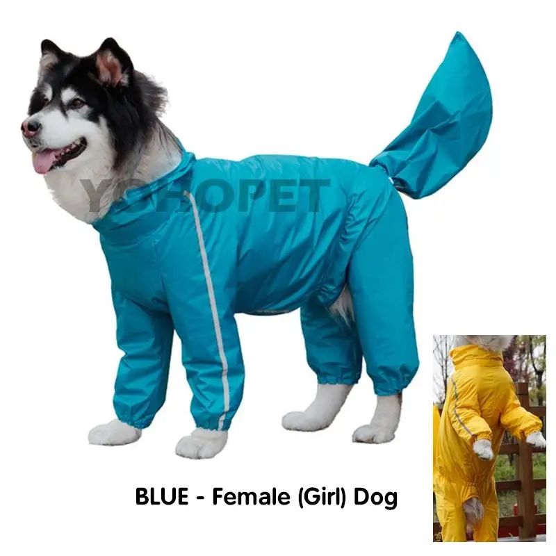 女の子の犬用の青