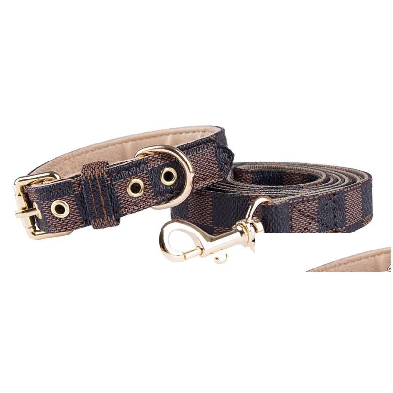 #1 Collars Leash