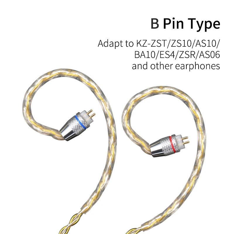 B PIN