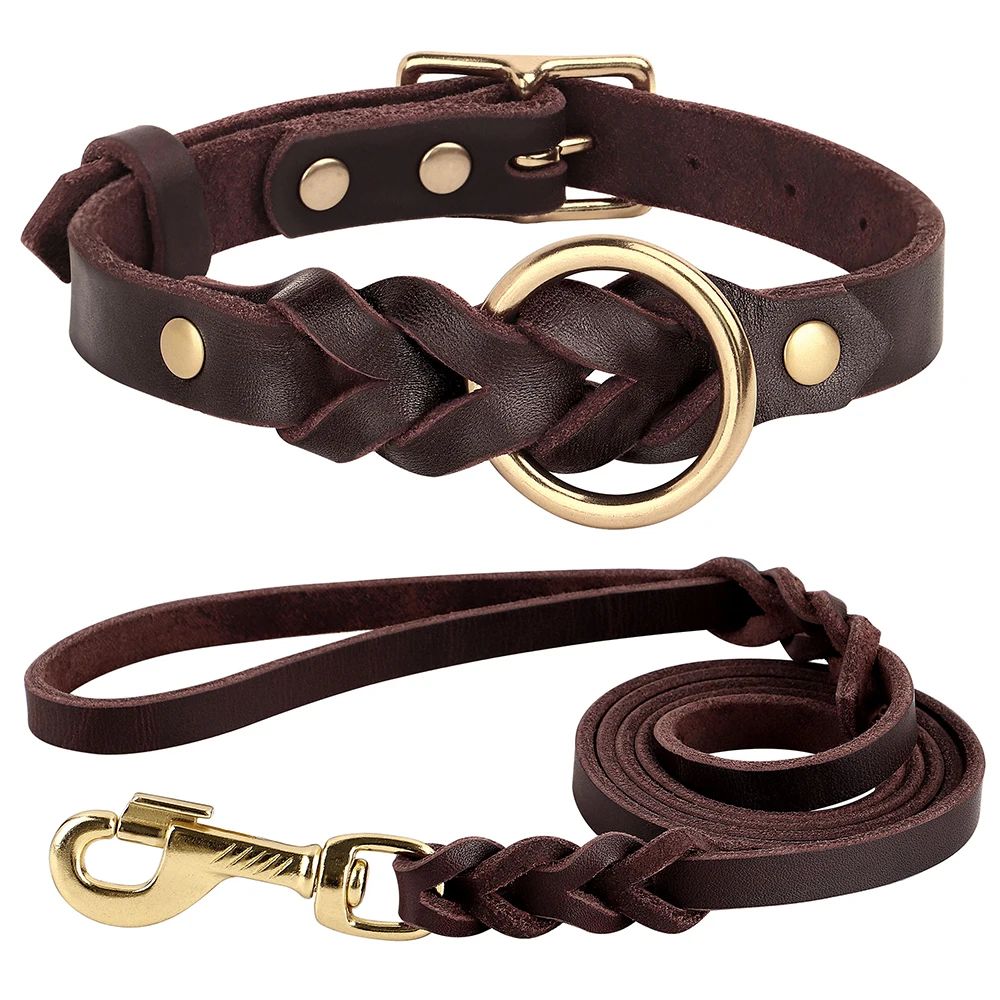 Color:Brown Collar LeashSize:M