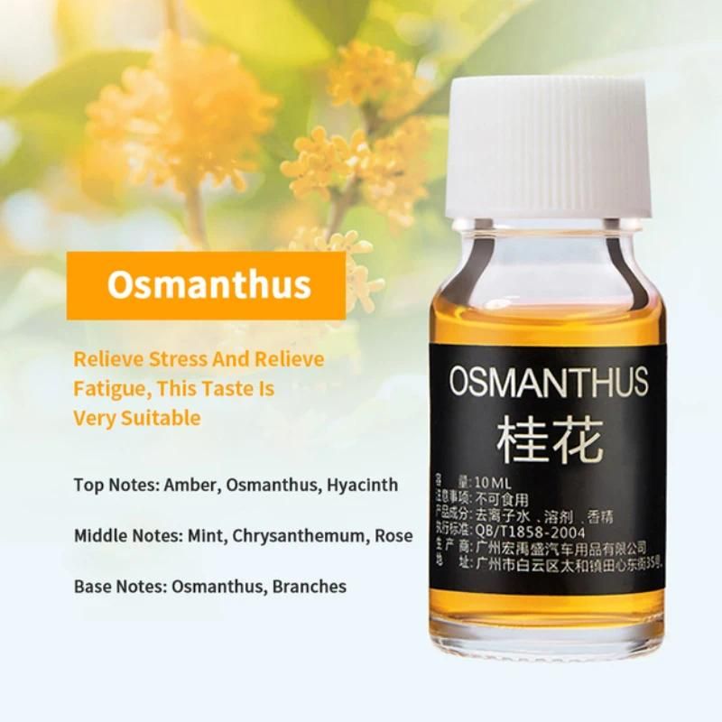 Osmanthus 1st