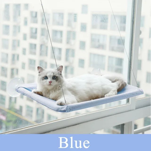 Kolor: Blue Cat Hammock