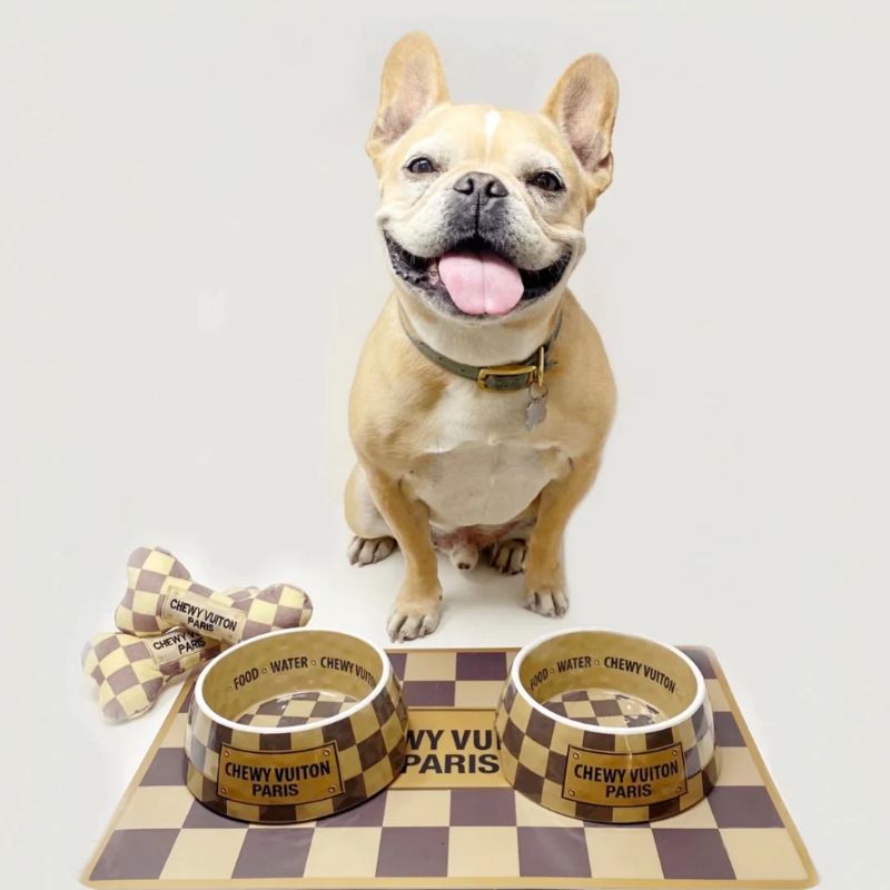 Dog Bowl