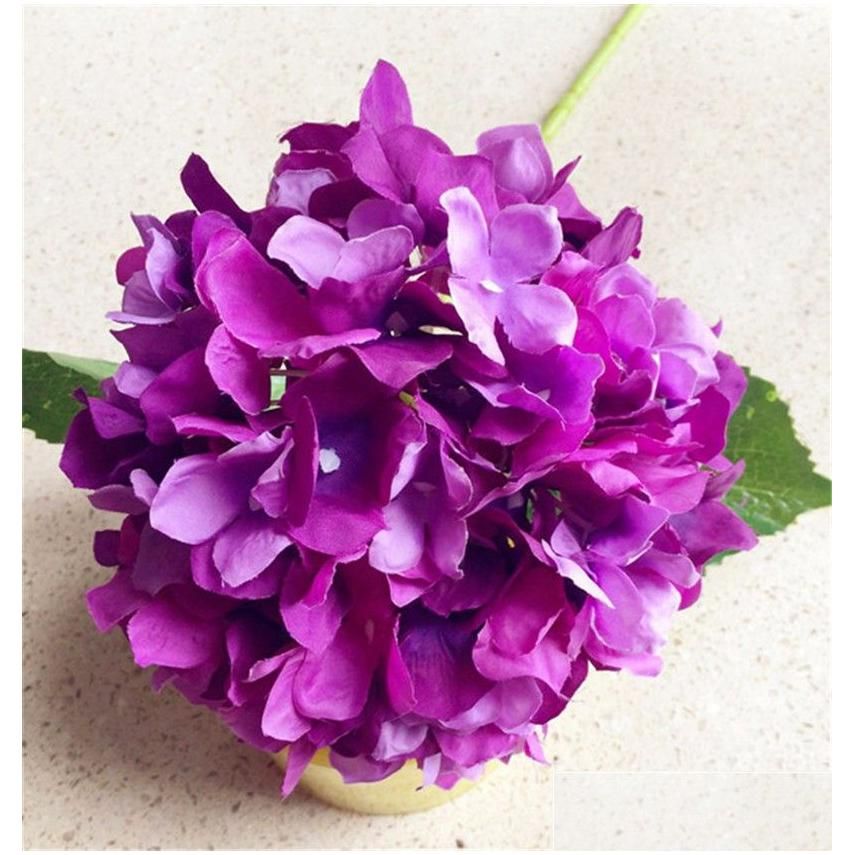 Hydrangea de couleur violette