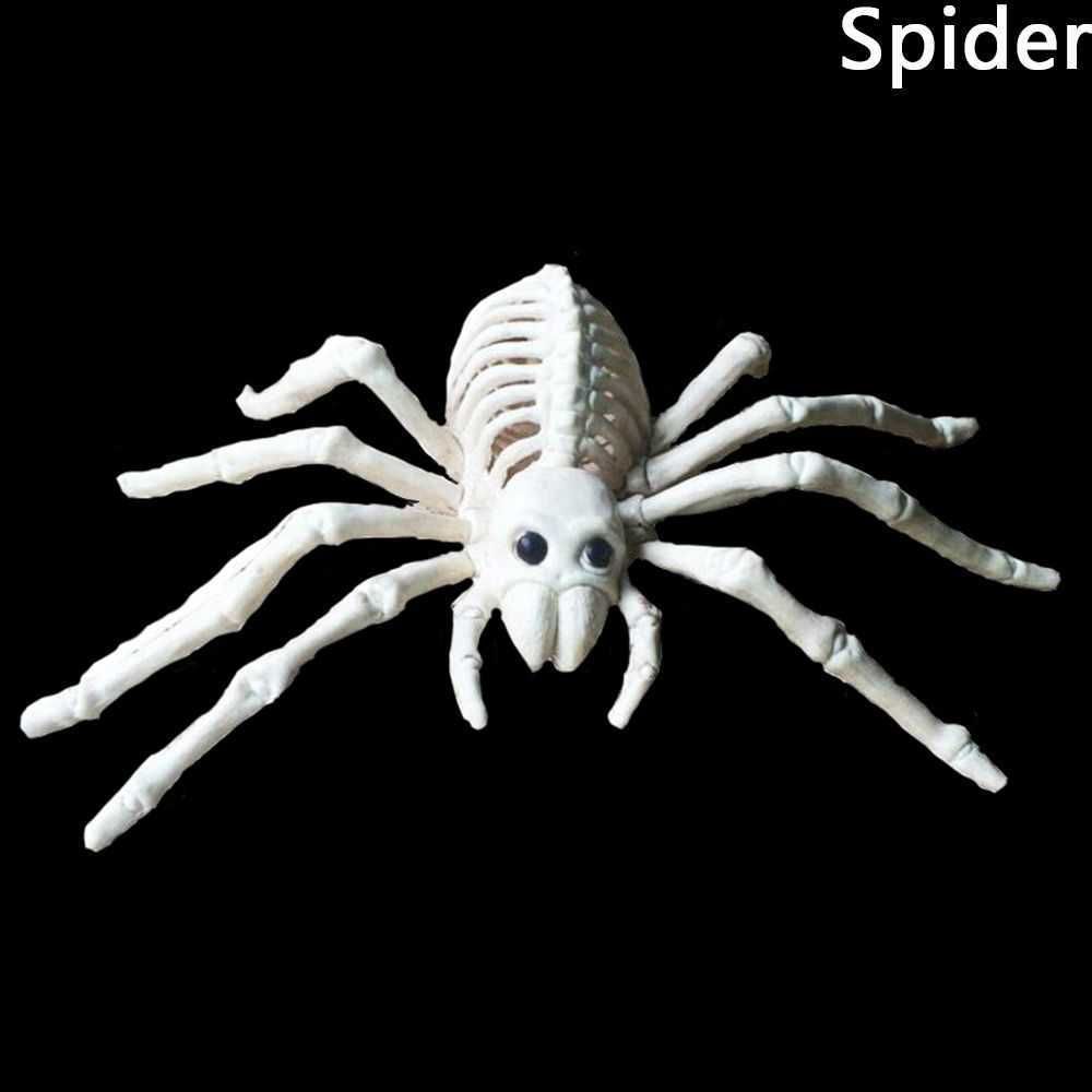 Spider-14.5x24x5cm
