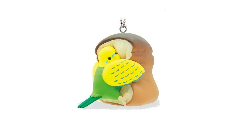 Budgerigars Green b