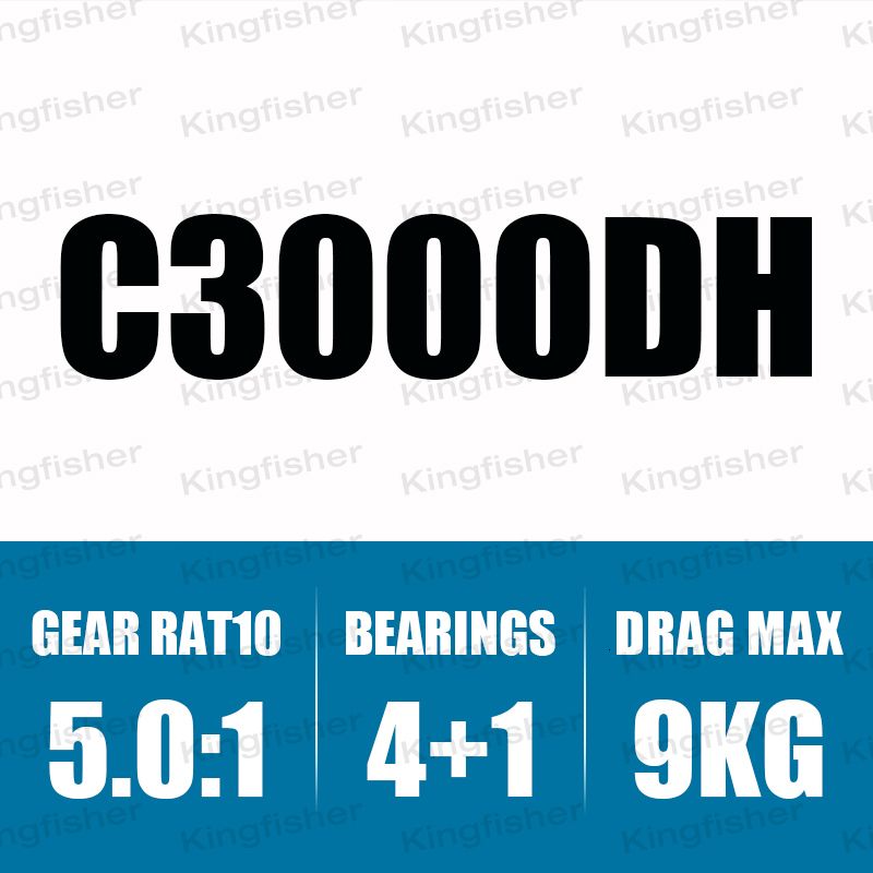 C3000dh