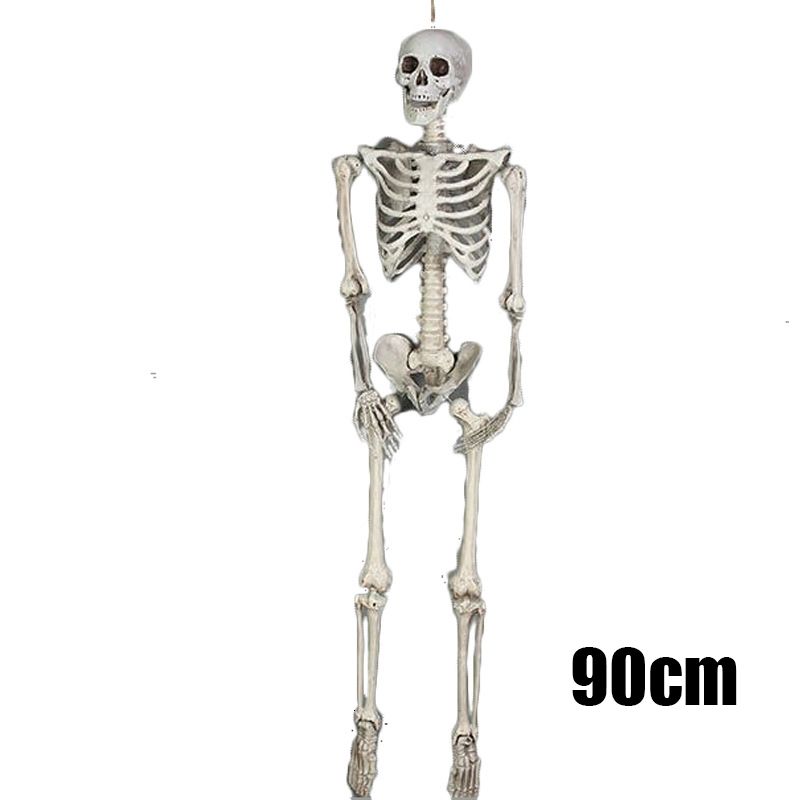 90cm Skull Skeleton