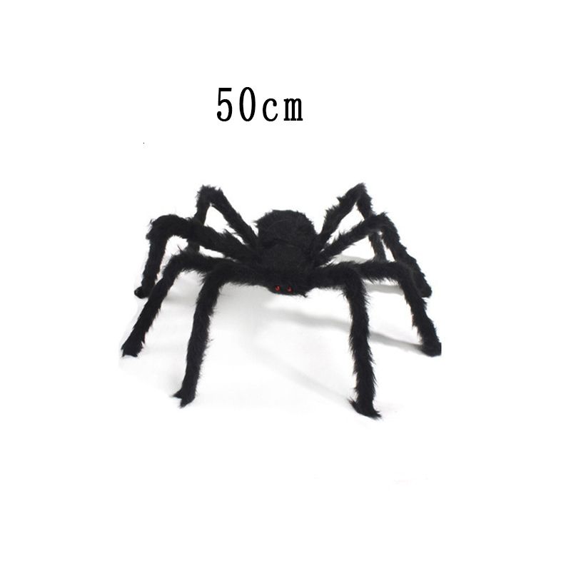 50 cm