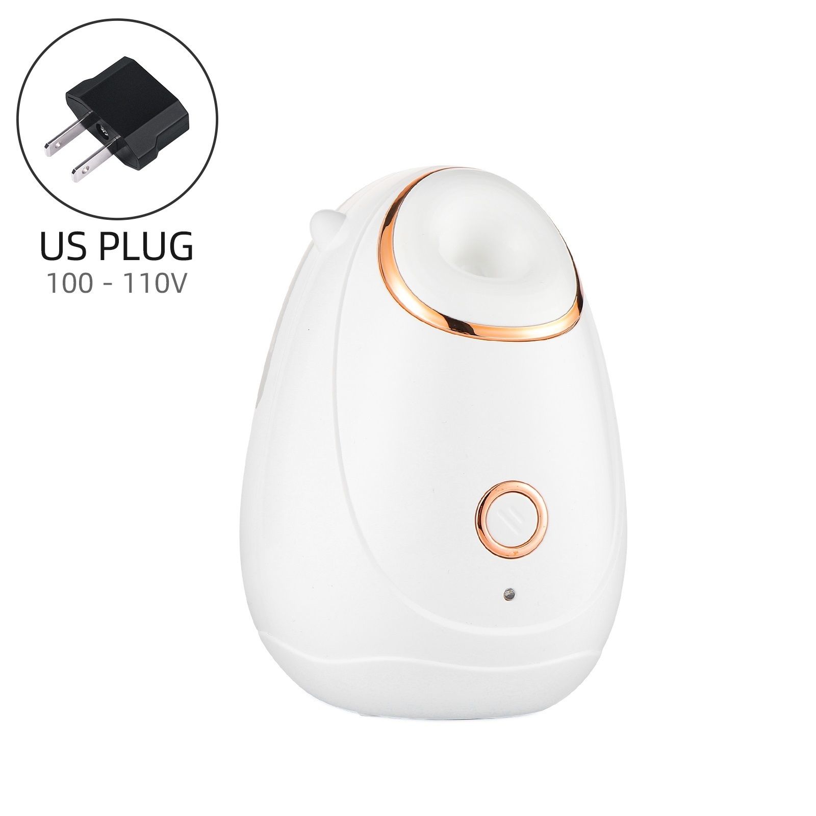 US Plug (100-110V)