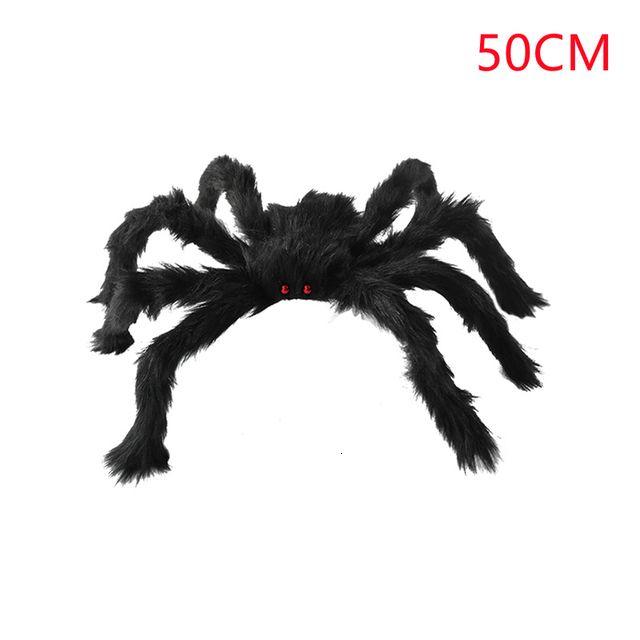 Araignée de 50 cm