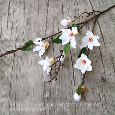 10 magnolias - blanc