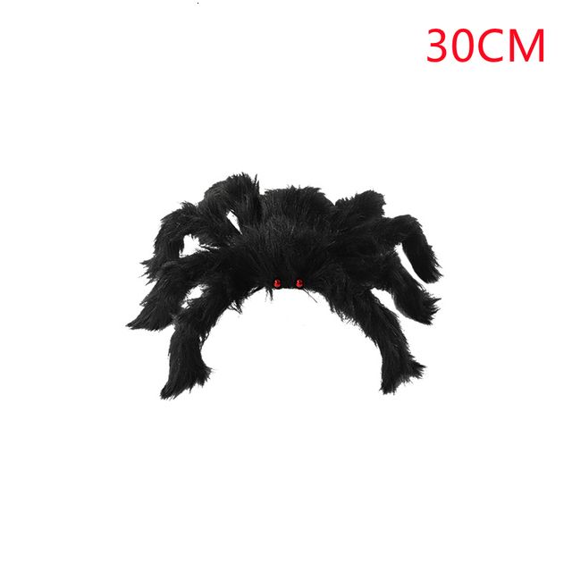 Araignée de 30 cm