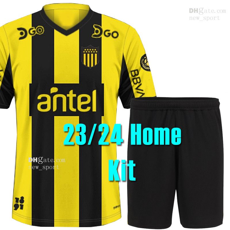 Peinaluoer 23/24 Home Kit