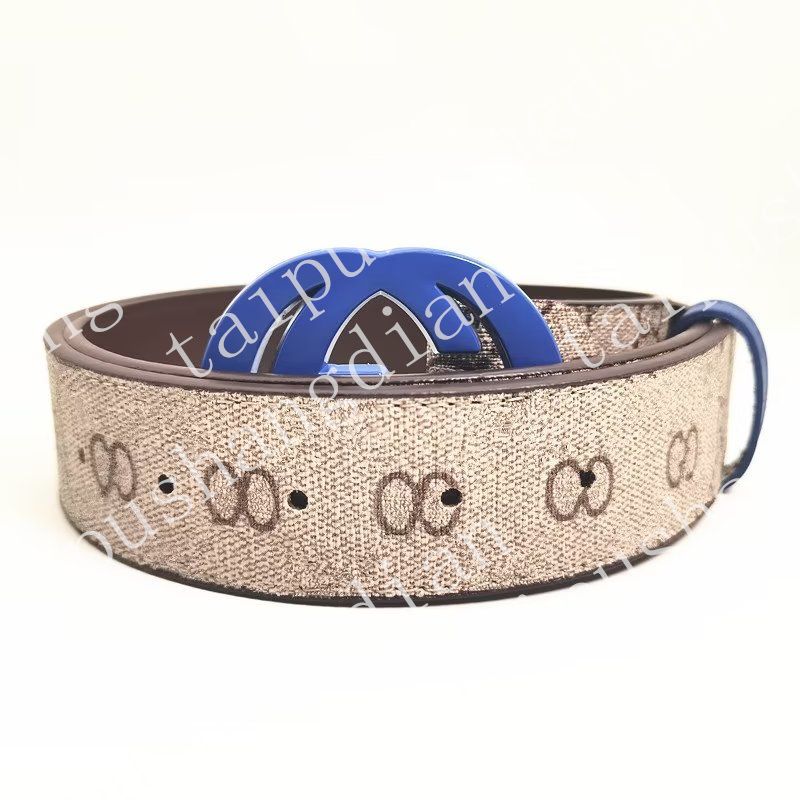 ceinture marron + boucle bleue