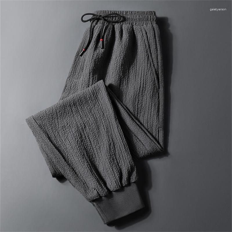 01 pantalon gris