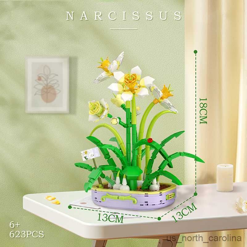 Narcissus Bonsai-avec Boîte